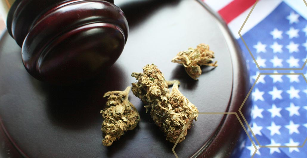 Business & legal in the GBL Learning Center