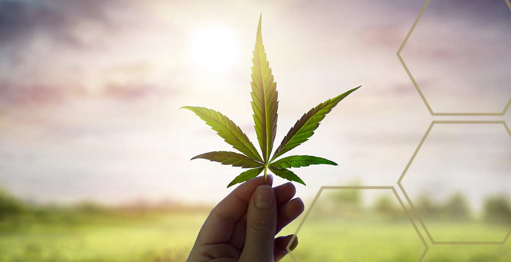 Hemp unveiled in the GBL Learning Center